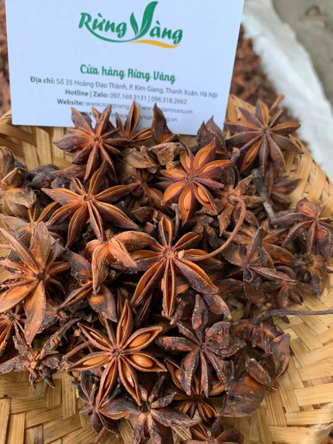 Star anise — Reference photo