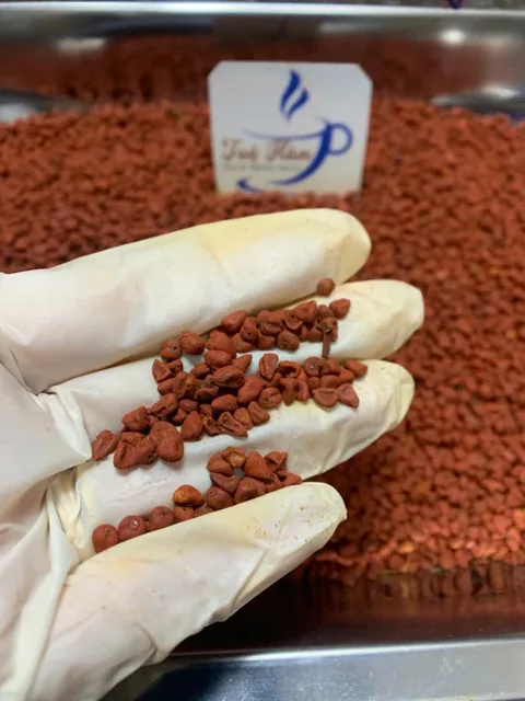 Annatto seeds — Reference photo